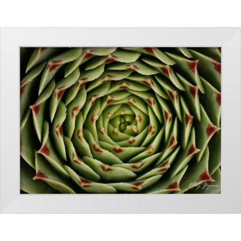 Floral Labyrinth I Color White Modern Wood Framed Art Print by Geyman, Vitaly