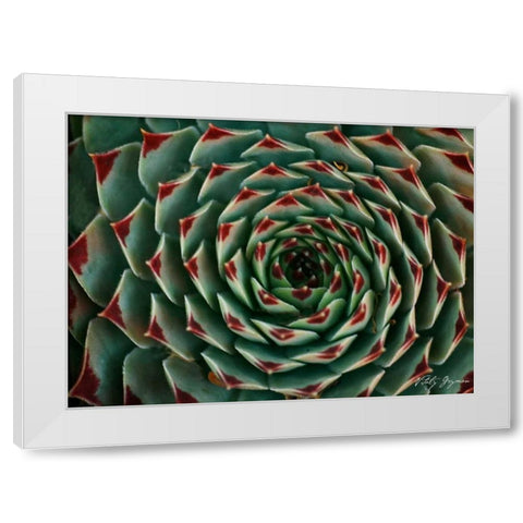 Floral Labyrinth II Color White Modern Wood Framed Art Print by Geyman, Vitaly