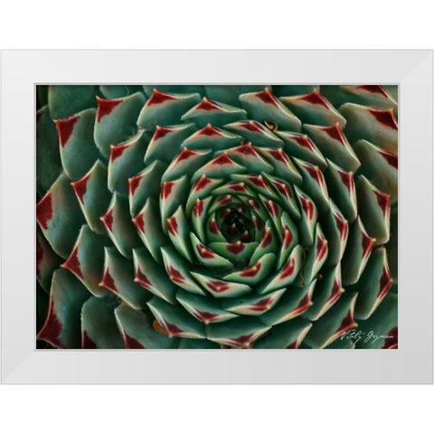 Floral Labyrinth II Color White Modern Wood Framed Art Print by Geyman, Vitaly