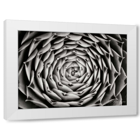 Floral Labyrinth I White Modern Wood Framed Art Print by Geyman, Vitaly