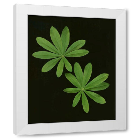 Green Leaves I White Modern Wood Framed Art Print by Geyman, Vitaly