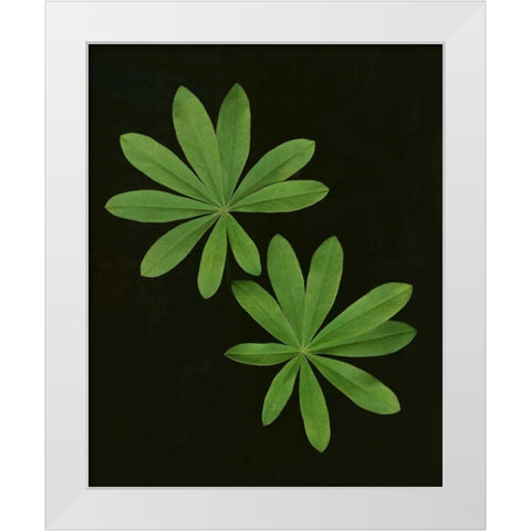 Green Leaves I White Modern Wood Framed Art Print by Geyman, Vitaly