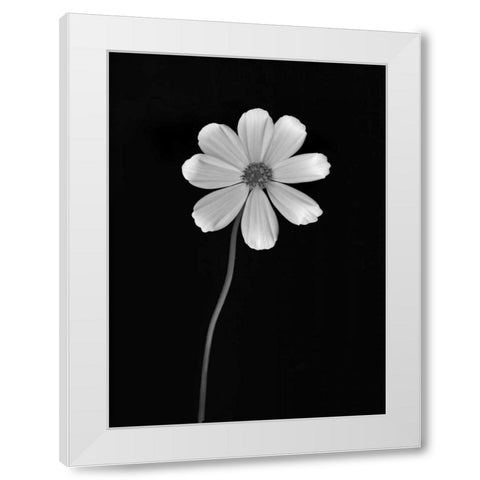 Ballet Flower I BandW White Modern Wood Framed Art Print by Geyman, Vitaly