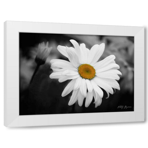 Daisy I BandW White Modern Wood Framed Art Print by Geyman, Vitaly