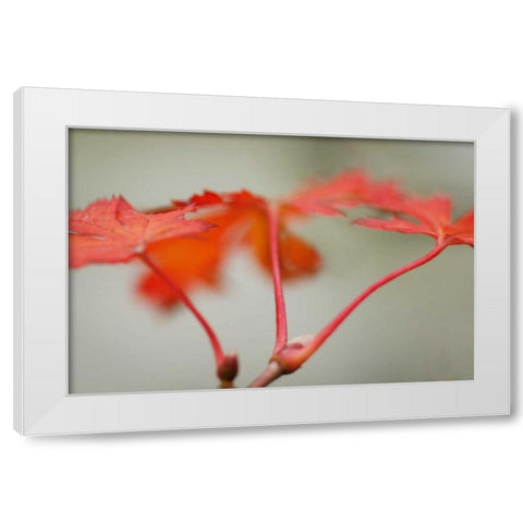 Maple In Style II White Modern Wood Framed Art Print by Geyman, Vitaly