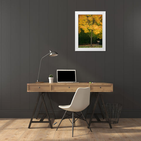 Fall Maple Fever VI White Modern Wood Framed Art Print by Geyman, Vitaly