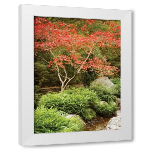 Japanese Park I White Modern Wood Framed Art Print by Geyman, Vitaly