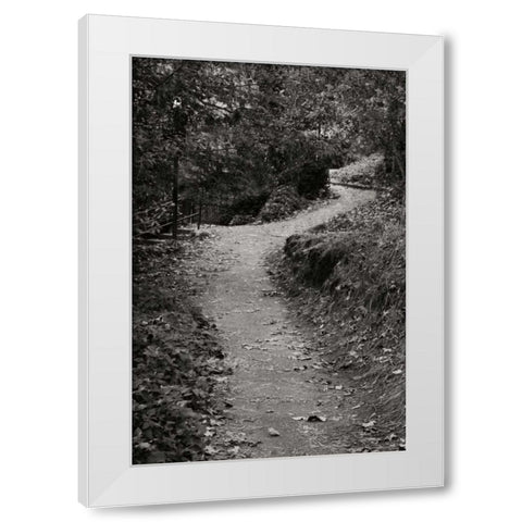 Autumn Path II BandW White Modern Wood Framed Art Print by Geyman, Vitaly
