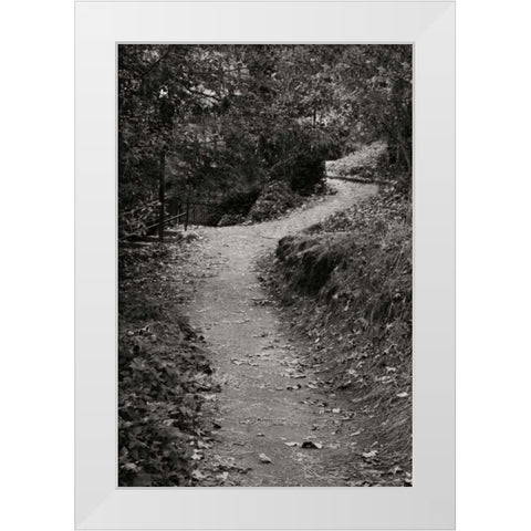 Autumn Path II BandW White Modern Wood Framed Art Print by Geyman, Vitaly
