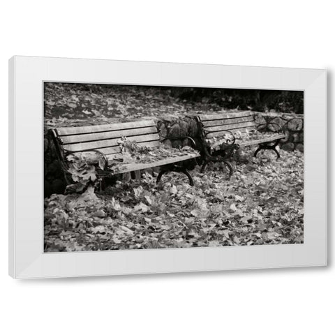 Autumn Paradise I BandW White Modern Wood Framed Art Print by Geyman, Vitaly