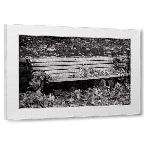 Autumn Paradise II BandW White Modern Wood Framed Art Print by Geyman, Vitaly