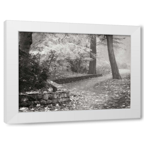 Autumn Paradise IV BandW White Modern Wood Framed Art Print by Geyman, Vitaly