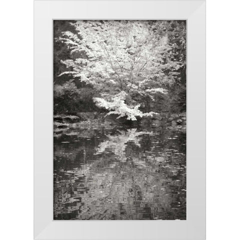 Fall Bouquet I BandW White Modern Wood Framed Art Print by Geyman, Vitaly