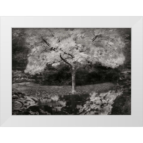 Autumn Reflections III BandW White Modern Wood Framed Art Print by Geyman, Vitaly