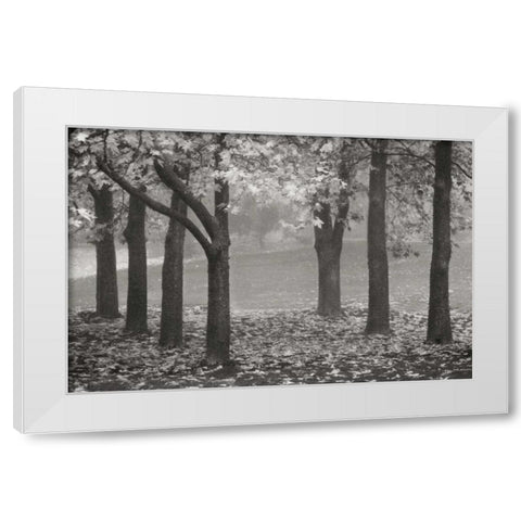 Colors in the Mist VII BandW White Modern Wood Framed Art Print by Geyman, Vitaly