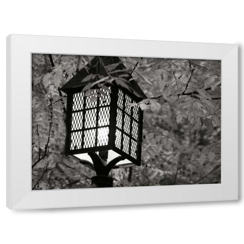 Fall Lighting I BandW White Modern Wood Framed Art Print by Geyman, Vitaly