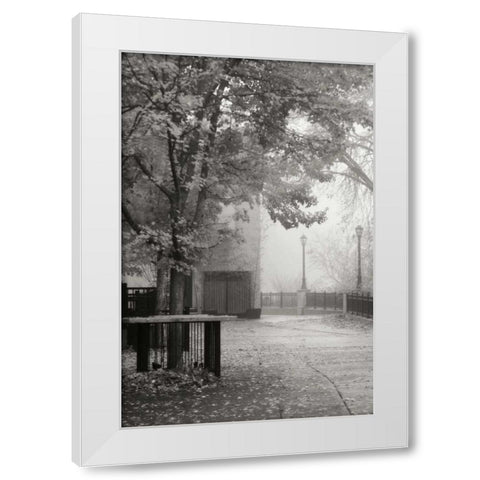 Fall Plaza IV BandW White Modern Wood Framed Art Print by Geyman, Vitaly