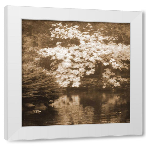Autumn Reflections I White Modern Wood Framed Art Print by Geyman, Vitaly