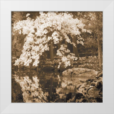 Autumn Reflections II White Modern Wood Framed Art Print by Geyman, Vitaly