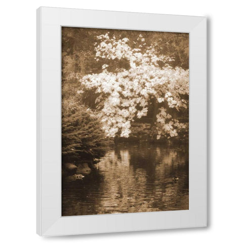 Autumn Reflections I White Modern Wood Framed Art Print by Geyman, Vitaly