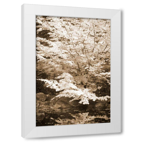 Fall Bouquet II White Modern Wood Framed Art Print by Geyman, Vitaly