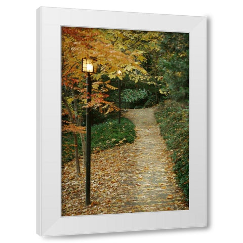 Autumn Path I White Modern Wood Framed Art Print by Geyman, Vitaly