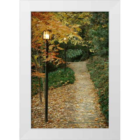 Autumn Path I White Modern Wood Framed Art Print by Geyman, Vitaly