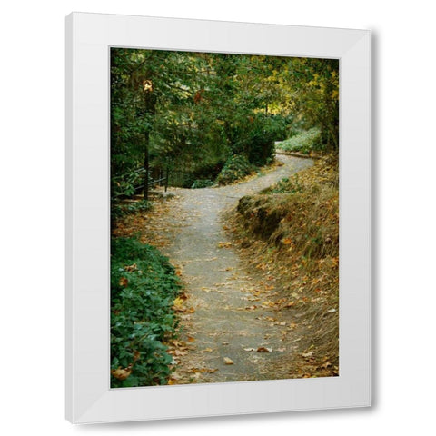Autumn Path II White Modern Wood Framed Art Print by Geyman, Vitaly