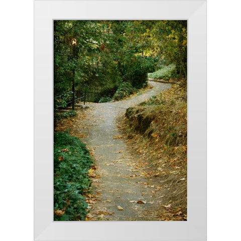 Autumn Path II White Modern Wood Framed Art Print by Geyman, Vitaly