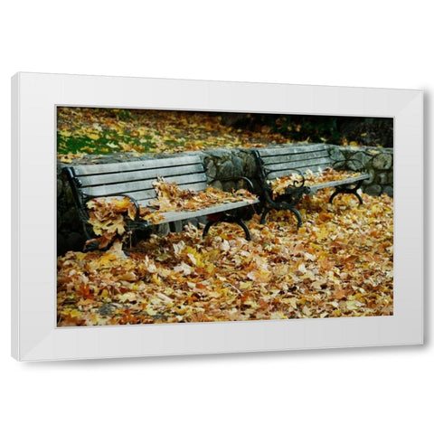 Autumn Paradise I White Modern Wood Framed Art Print by Geyman, Vitaly