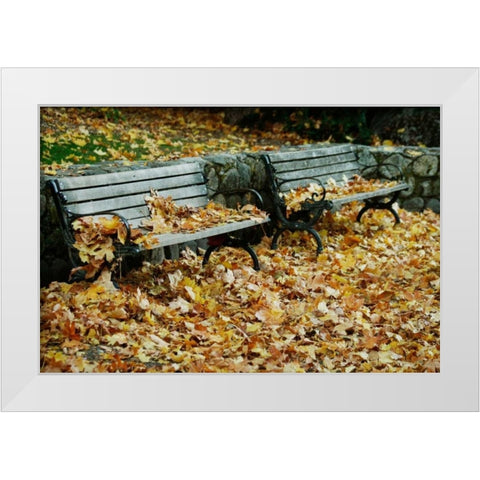 Autumn Paradise I White Modern Wood Framed Art Print by Geyman, Vitaly