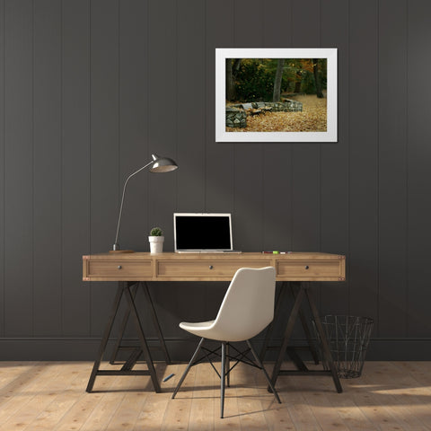 Autumn Paradise III White Modern Wood Framed Art Print by Geyman, Vitaly