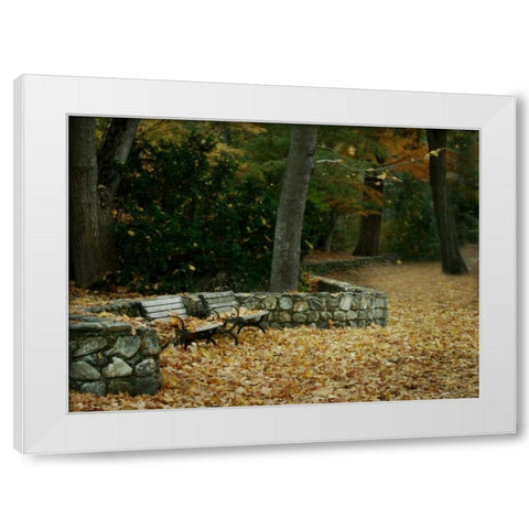 Autumn Paradise III White Modern Wood Framed Art Print by Geyman, Vitaly