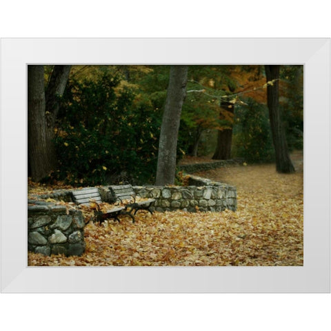 Autumn Paradise III White Modern Wood Framed Art Print by Geyman, Vitaly