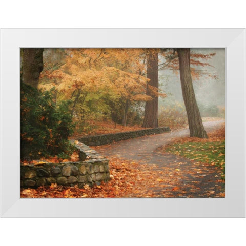 Autumn Paradise IV White Modern Wood Framed Art Print by Geyman, Vitaly
