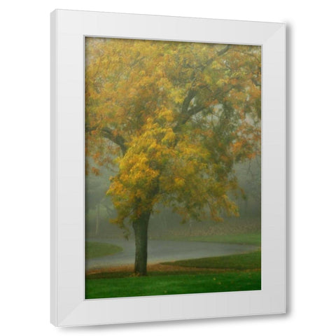 Colors in the Mist V White Modern Wood Framed Art Print by Geyman, Vitaly