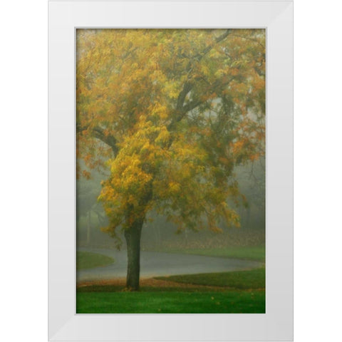 Colors in the Mist V White Modern Wood Framed Art Print by Geyman, Vitaly