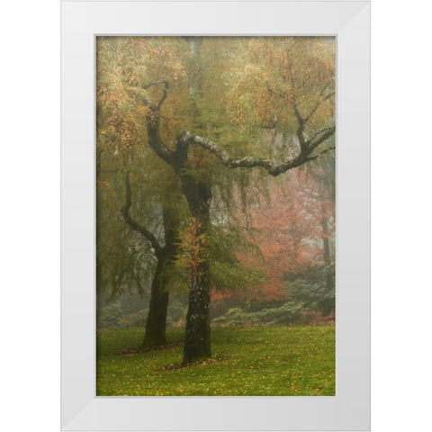 Colors in the Mist VI White Modern Wood Framed Art Print by Geyman, Vitaly