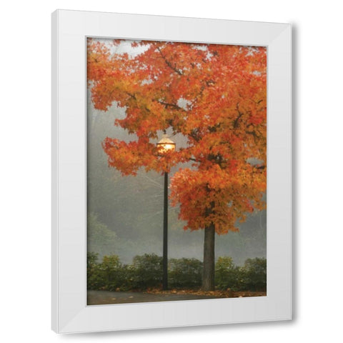 Colors in the Mist II White Modern Wood Framed Art Print by Geyman, Vitaly