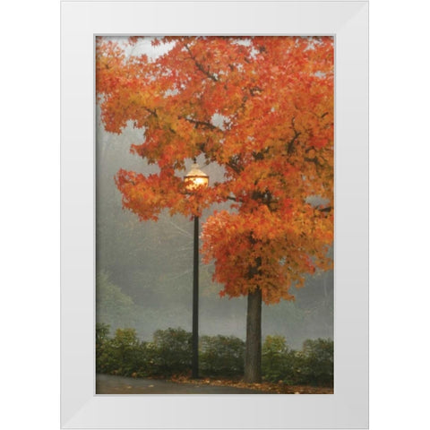 Colors in the Mist II White Modern Wood Framed Art Print by Geyman, Vitaly
