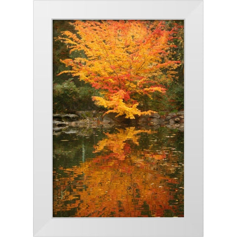 Fall Bouquet II White Modern Wood Framed Art Print by Geyman, Vitaly