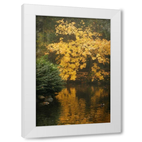 Autumn Reflections I White Modern Wood Framed Art Print by Geyman, Vitaly