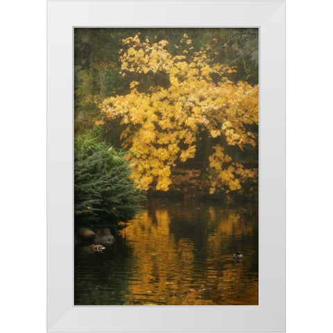 Autumn Reflections I White Modern Wood Framed Art Print by Geyman, Vitaly