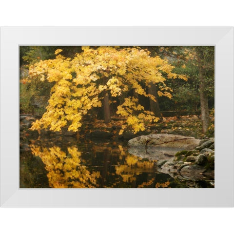 Autumn Reflections II White Modern Wood Framed Art Print by Geyman, Vitaly
