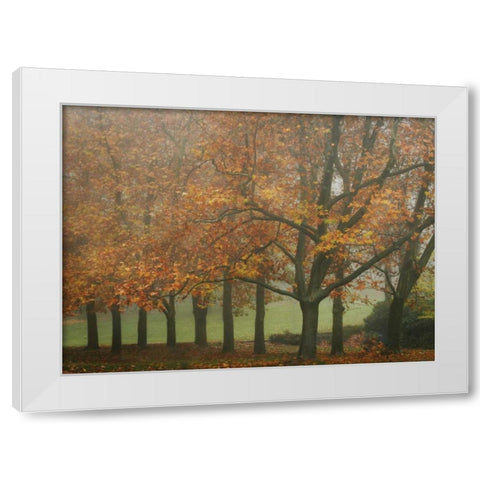 Colors in the Mist VIII White Modern Wood Framed Art Print by Geyman, Vitaly