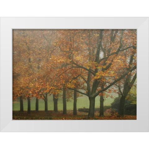 Colors in the Mist VIII White Modern Wood Framed Art Print by Geyman, Vitaly
