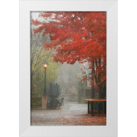 Fall Plaza III White Modern Wood Framed Art Print by Geyman, Vitaly
