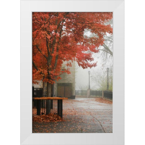 Fall Plaza IV White Modern Wood Framed Art Print by Geyman, Vitaly