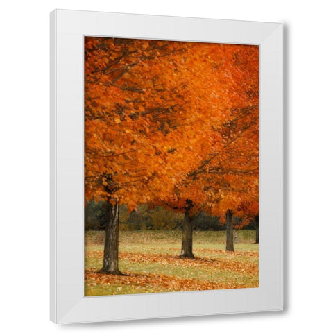 Splash of Color II White Modern Wood Framed Art Print by Geyman, Vitaly