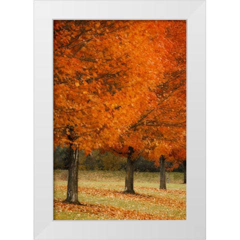 Splash of Color II White Modern Wood Framed Art Print by Geyman, Vitaly